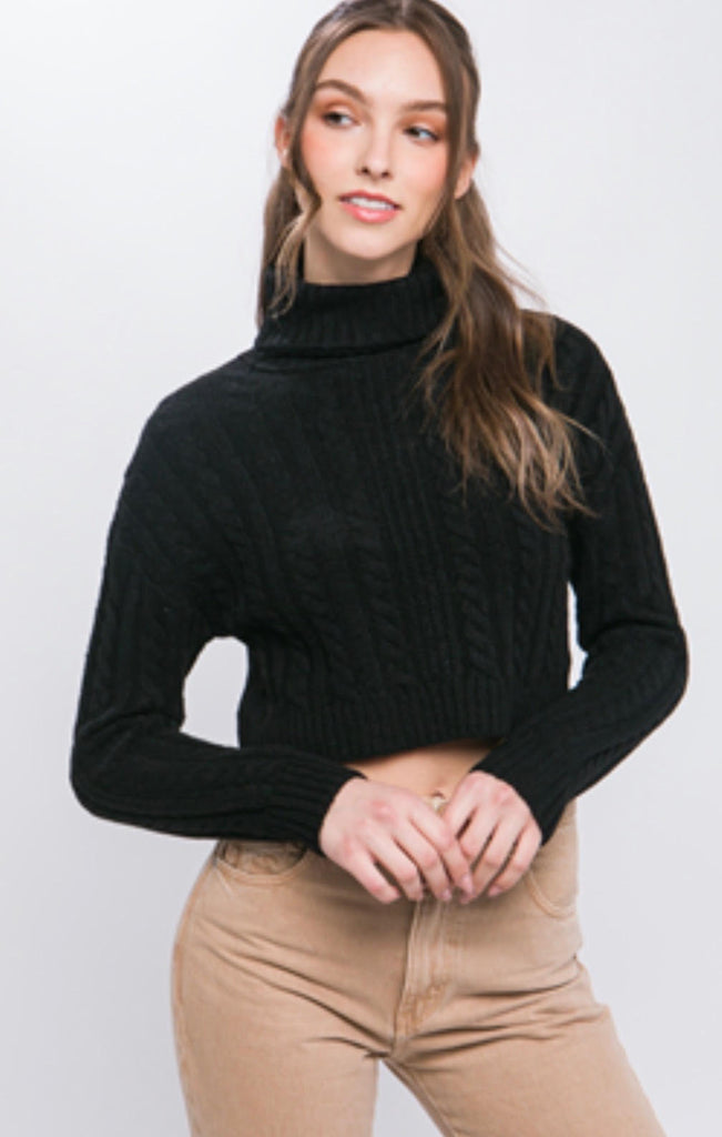 Turtleneck Cropped Sweater